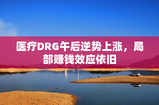医疗DRG午后逆势上涨，局部赚钱效应依旧