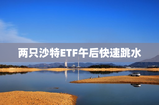 两只沙特ETF午后快速跳水