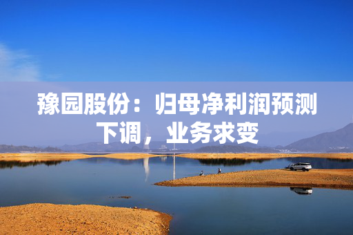 豫园股份：归母净利润预测下调，业务求变