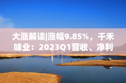 大涨解读|涨幅9.85%，千禾味业：2023Q1营收、净利润同步高增长