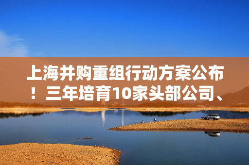 上海并购重组行动方案公布！三年培育10家头部公司、形成3000亿并购规模 第1张