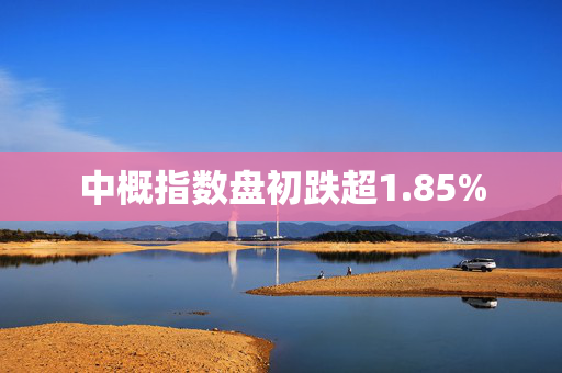 中概指数盘初跌超1.85% 第1张