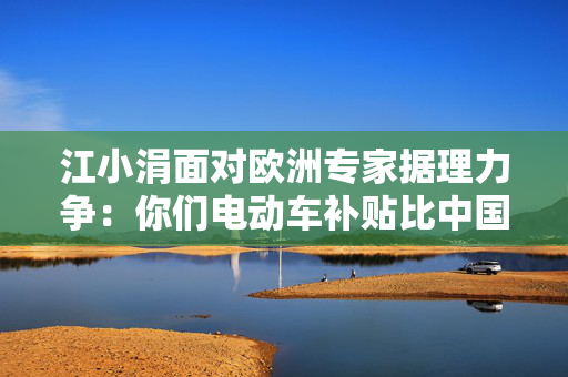 江小涓面对欧洲专家据理力争：你们电动车补贴比中国还高，为什么说我？