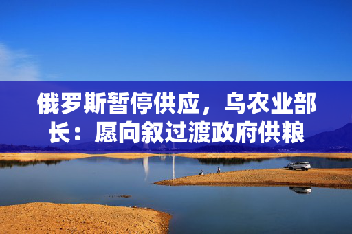 俄罗斯暂停供应，乌农业部长：愿向叙过渡政府供粮