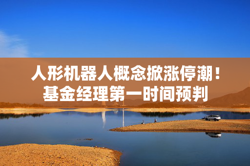 人形机器人概念掀涨停潮！基金经理第一时间预判