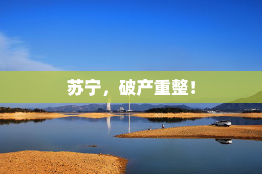 苏宁，破产重整！