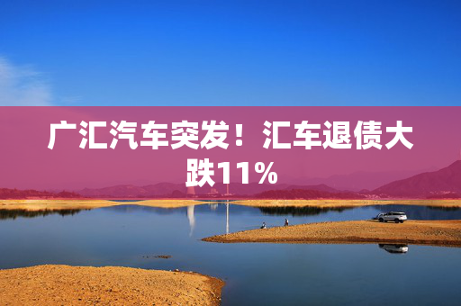 广汇汽车突发！汇车退债大跌11%
