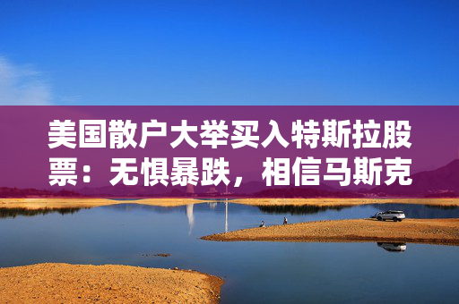 美国散户大举买入特斯拉股票：无惧暴跌，相信马斯克就好！