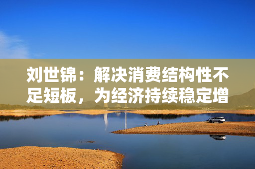 刘世锦：解决消费结构性不足短板，为经济持续稳定增长提供支撑
