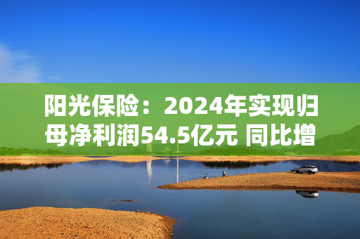 阳光保险：2024年实现归母净利润54.5亿元 同比增长45.8% 第1张