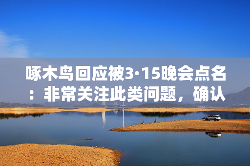 啄木鸟回应被3·15晚会点名：非常关注此类问题，确认属实将会对师傅进行严格处罚