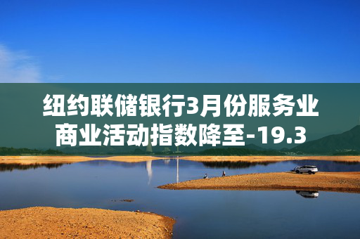 纽约联储银行3月份服务业商业活动指数降至-19.3