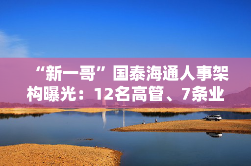 “新一哥”国泰海通人事架构曝光：12名高管、7条业务线、41个部门浮出水面 第1张