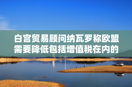 白宫贸易顾问纳瓦罗称欧盟需要降低包括增值税在内的非关税壁垒