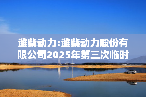 潍柴动力:潍柴动力股份有限公司2025年第三次临时董事会会议决议公告 第1张