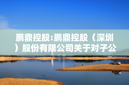 鹏鼎控股:鹏鼎控股（深圳）股份有限公司关于对子公司宏恒胜增资的公告 第1张