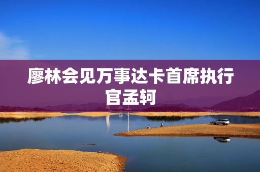 廖林会见万事达卡首席执行官孟轲 第1张