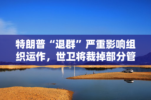 特朗普“退群”严重影响组织运作，世卫将裁掉部分管理人员