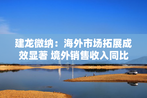 建龙微纳：海外市场拓展成效显著 境外销售收入同比增长13.36% 第1张