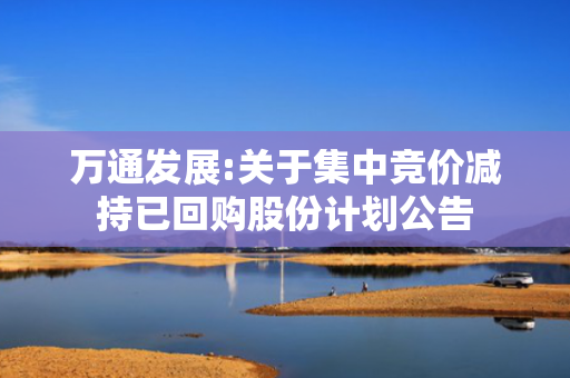 万通发展:关于集中竞价减持已回购股份计划公告 第1张