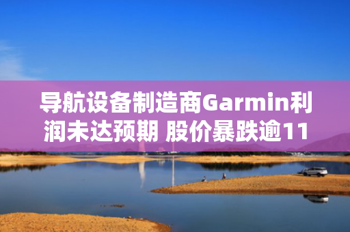 导航设备制造商Garmin利润未达预期 股价暴跌逾11.5%