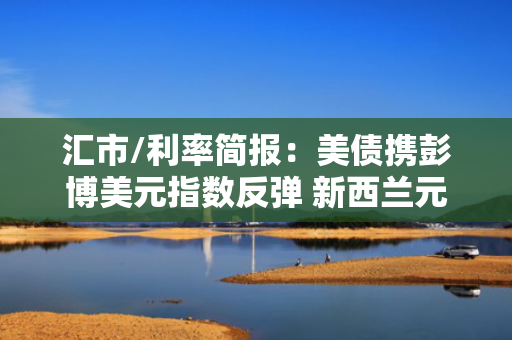 汇市/利率简报：美债携彭博美元指数反弹 新西兰元领跌G-10货币