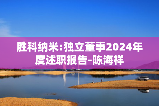 胜科纳米:独立董事2024年度述职报告-陈海祥