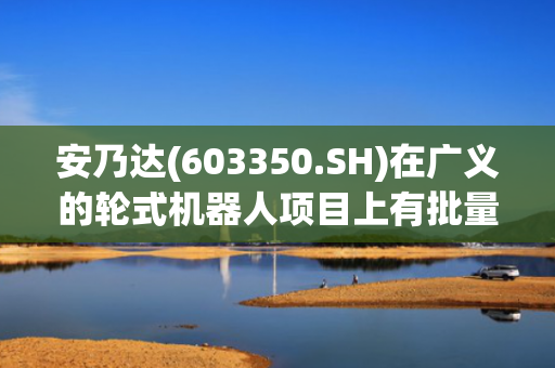 安乃达(603350.SH)在广义的轮式机器人项目上有批量供应或在研的电机产品