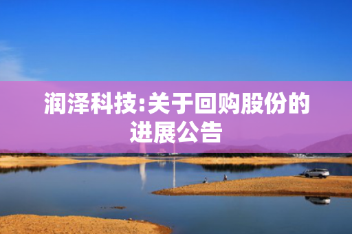 润泽科技:关于回购股份的进展公告