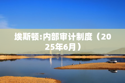 埃斯顿:内部审计制度（2025年6月）