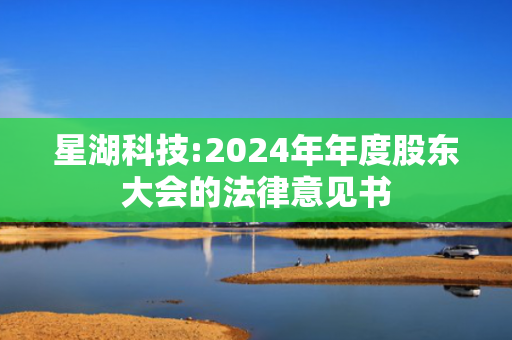 星湖科技:2024年年度股东大会的法律意见书