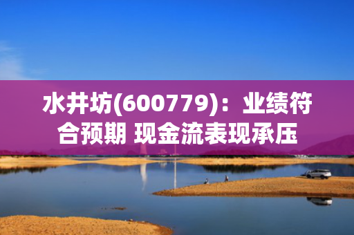 水井坊(600779)：业绩符合预期 现金流表现承压