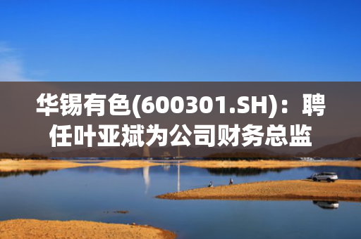 华锡有色(600301.SH)：聘任叶亚斌为公司财务总监
