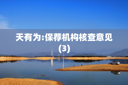 天有为:保荐机构核查意见(3)