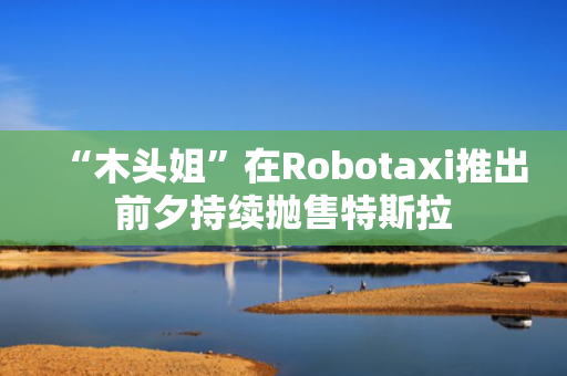 “木头姐”在Robotaxi推出前夕持续抛售特斯拉