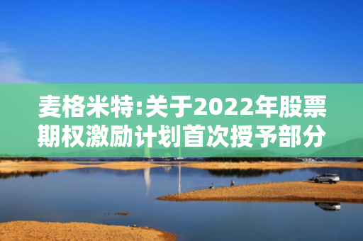 麦格米特:关于2022年股票期权激励计划首次授予部分第三个行权期及预留授予部分第二个行权期行权条件成就的公告 第1张