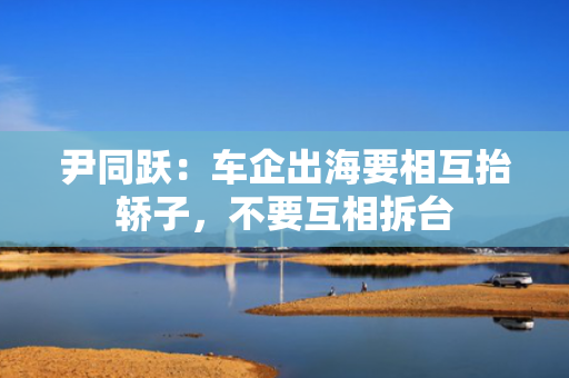 尹同跃：车企出海要相互抬轿子，不要互相拆台