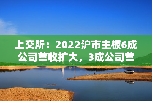 上交所：2022沪市主板6成公司营收扩大，3成公司营收超百亿，超8成公司盈利，近5成公司实现利润增长（全文）