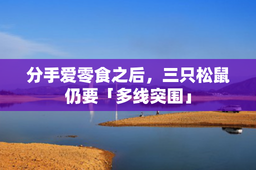 分手爱零食之后，三只松鼠仍要「多线突围」