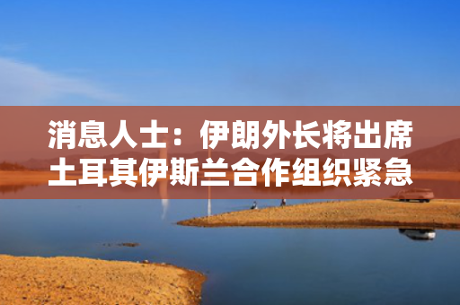 消息人士：伊朗外长将出席土耳其伊斯兰合作组织紧急会议