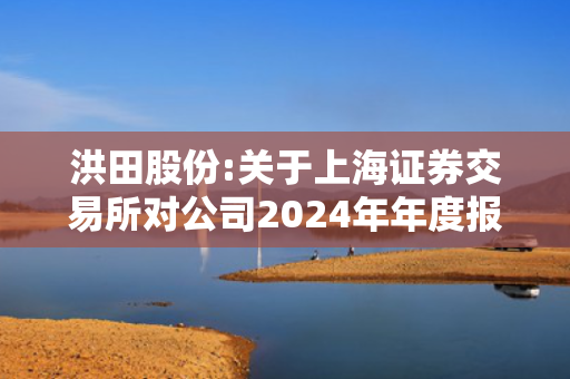 洪田股份:关于上海证券交易所对公司2024年年度报告的信息披露监管工作函的回复公告
