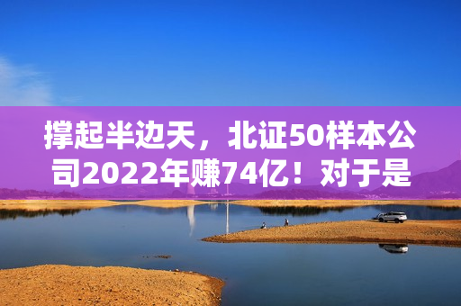 撑起半边天，北证50样本公司2022年赚74亿！对于是否转板、股价不振如何破局，它们这样说……