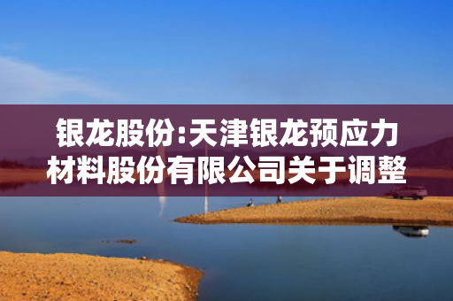 银龙股份:天津银龙预应力材料股份有限公司关于调整2024年度利润分配现金分红总额的公告 第1张