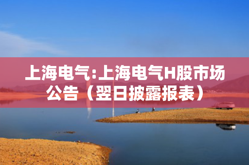 上海电气:上海电气H股市场公告（翌日披露报表）
