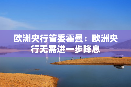 欧洲央行管委霍曼：欧洲央行无需进一步降息
