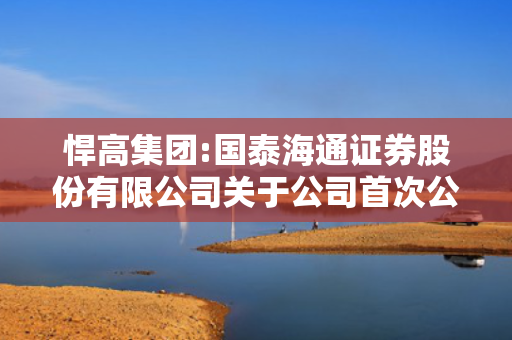 悍高集团:国泰海通证券股份有限公司关于公司首次公开发行股票并在主板上市的上市保荐书