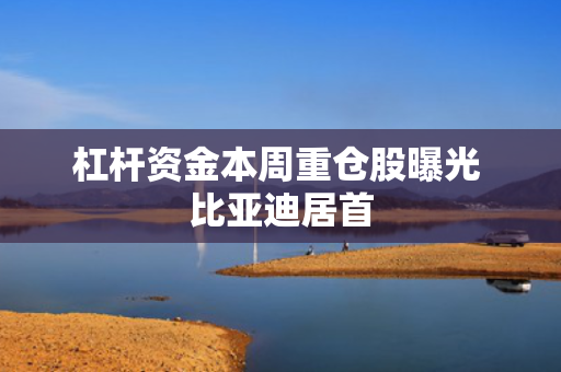 杠杆资金本周重仓股曝光 比亚迪居首