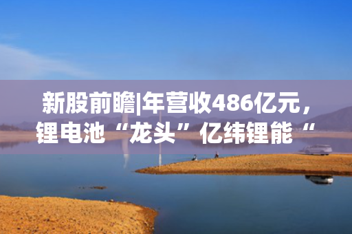 新股前瞻|年营收486亿元，锂电池“龙头”亿纬锂能“A+H”上市意欲何为?