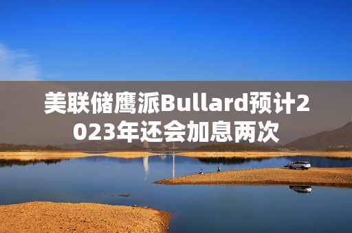 美联储鹰派Bullard预计2023年还会加息两次 第1张