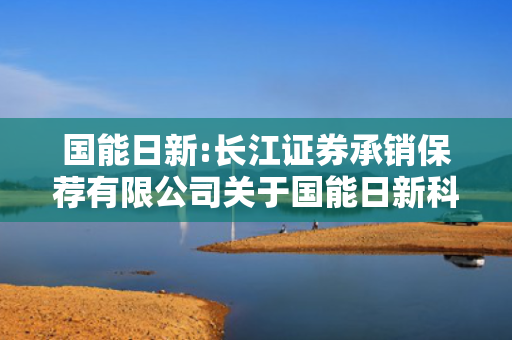 国能日新:长江证券承销保荐有限公司关于国能日新科技股份有限公司向特定对象发行股票发行过程和认购对象合规性的报告